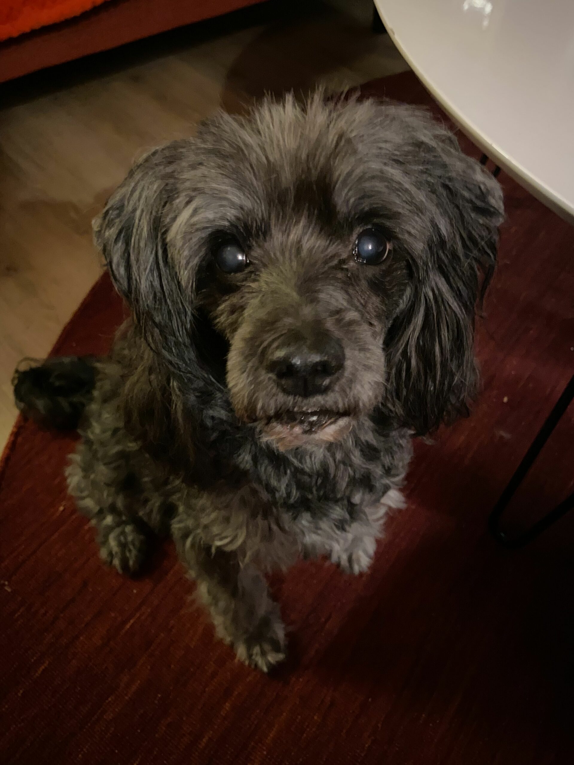 Arttu